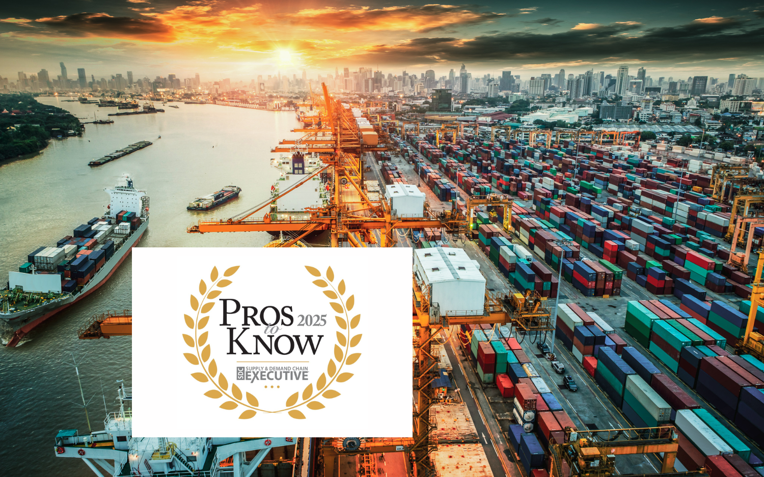 Port with shipping containers at sunset background.